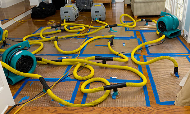 Professional Emergency Water Removal technician working in Plattsburg, MO
